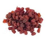 Panditas
